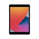 iPad 10.2